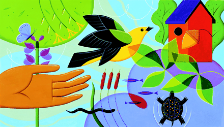 Diabetes Care Cover Image for Volume 28, Issue 3