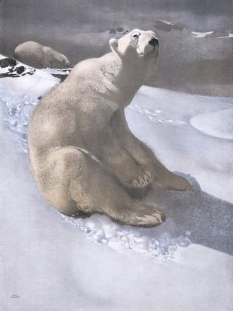 Issue cover image