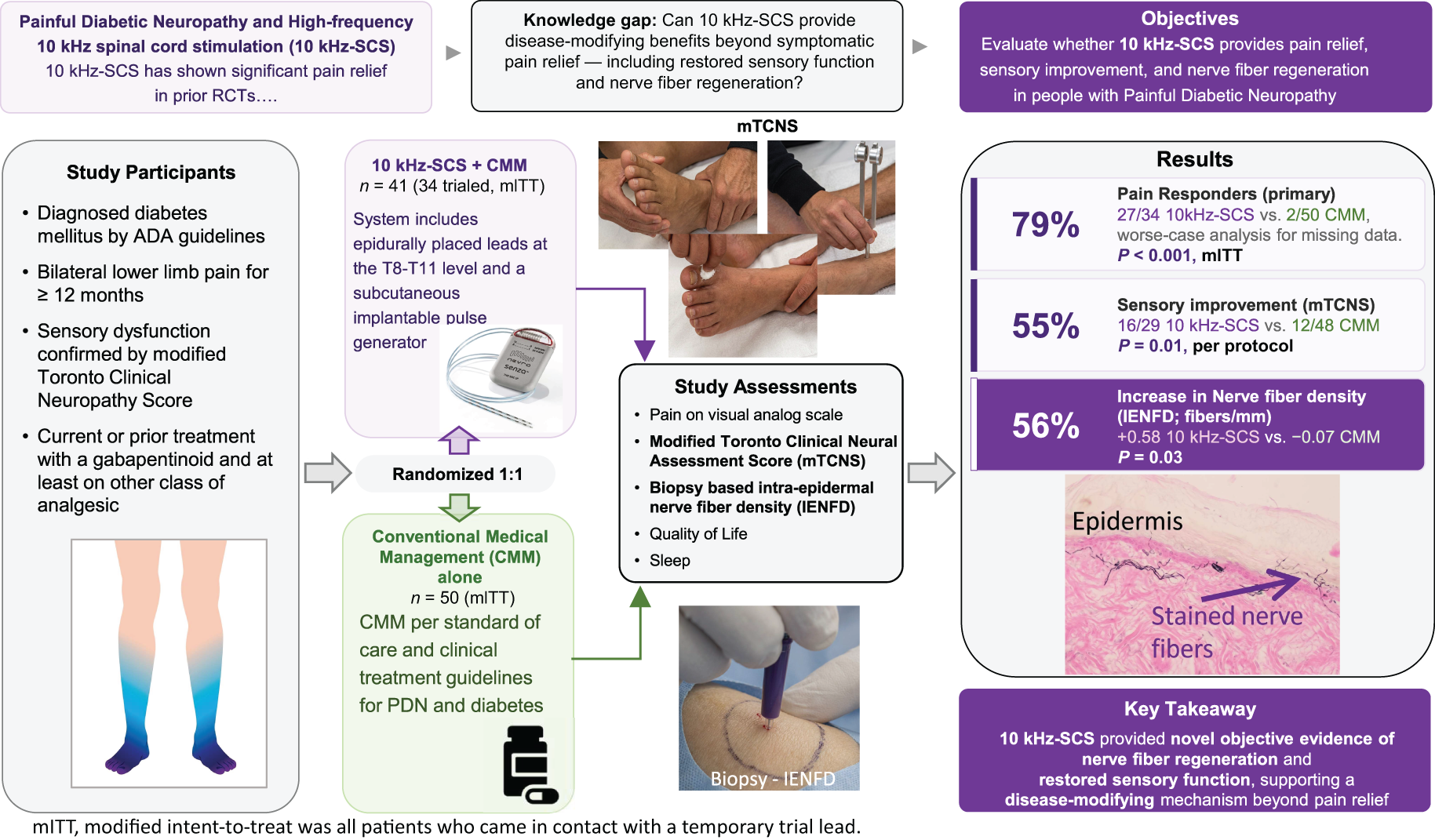 Painful diabetic neuropathy study compares 10-kilohertz spinal cord stimulation plus conventional medical management with conventional medical management alone. Participants have diabetes, long-term bilateral lower limb pain, and sensory dysfunction. Assessments include pain, modified Toronto Clinical Neuropathy Score, intra-epidermal nerve fibre density, quality of life, and sleep. Results report 79 percent pain responders, 55 percent sensory improvement, and 56 percent increased nerve fibre density with 10 kilohertz spinal cord stimulation.