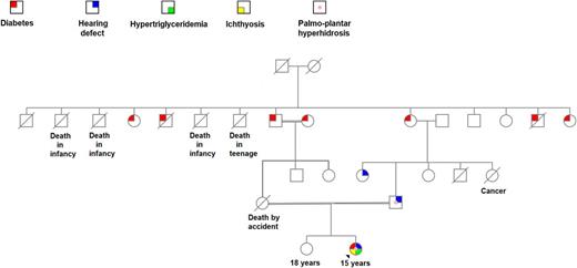 FIGURE 1. Pedigree showing the distribution of the traits—diabetes, hearing loss, hypertriglyceridemia, ichthyosis, and hyperhidrosis—in the family.