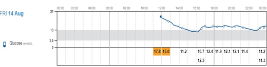 Graph for case 3. S.M.’s glycemic profile on day 1 of flash CGM use is shown.