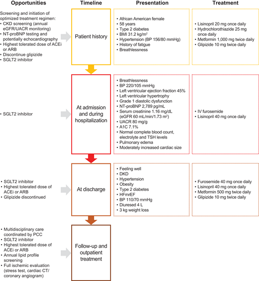 Case presentation and opportunities for earlier diagnosis and improved treatment of cardiorenal disease in a patient with type 2 diabetes. ACEi, ACE inhibitor; ARB, angiotensin receptor blocker; BP, blood pressure; CT, computed tomography; IV, intravenous; TSH, thyroid-stimulating hormone.