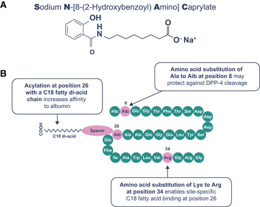 Current Understanding of Sodium N-(8-[2-Hydroxylbenzoyl] Amino ...