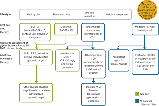 eGFR is presented in units of mL/min/1.73 m2. *ACEi or ARB (at maximal tolerated doses) should be first-line therapy for hypertension when albuminuria is present. Otherwise, dihydropyridine CCB or diuretic can also be considered; all three classes are often needed to attain BP targets. †Finerenone is currently the only nonsteroidal MRA with proven clinical kidney and cardiovascular benefits. ACEi, ACE inhibitor; ACR, albumin-to creatinine ratio; ARB, angiotensin receptor blocker; ASCVD, atherosclerotic cardiovascular disease; BP, blood pressure; CCB, calcium channel blocker; CVD, cardiovascular disease; GLP-1 RA, glucagon-like peptide 1 receptor agonist; HTN, hypertension; MRA, mineralocorticoid receptor antagonist; PCSK9i, proprotein convertase subtilisin/kexin type 9 inhibitor; RAS, renin- angiotensin system; SGLT2i, sodium–glucose cotransporter 2 inhibitor; T1D, type 1 diabetes; T2D, type 2 diabetes. Adapted from de Boer IH, Khunti K, Sadusky T, et al. Diabetes management in chronic kidney disease: a consensus report by the American Diabetes Association (ADA) and Kidney Disease: Improving Global Outcomes (KDIGO). Diabetes Care 2022;45:3075–3090.