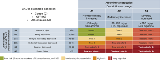 Risk of CKD progression, frequency of visits, and referral to nephrology according to glomerular filtration rate (GFR) and albuminuria. Numbers in the boxes are the number of times per year to screen or monitor. Green reflects no evidence of CKD by eGFR or albuminuria. Suggested monitoring of prevalent CKD varies from once (yellow) to four or more times (deep red) per year. Adapted from de Boer IH, Khunti K, Sadusky T, et al. Diabetes management in chronic kidney disease: a consensus report by the American Diabetes Association (ADA) and Kidney Disease: Improving Global Outcomes (KDIGO). Diabetes Care 2022;45:3075–3090.