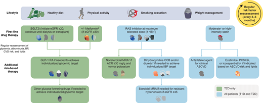 ADA/KDIGO 2022 treatment algorithm for patients with CKD associated with type 2 diabetes. *ACEi or ARB should be first-line therapy for HTN when albuminuria is present; otherwise, dihydropyridine CCB or diuretic can also be considered. All three classes are often needed to attain BP targets. †Finerenone is currently the only nonsteroidal MRA with proven clinical kidney and cardiovascular benefits. ‡If eGFR is 30–44 mL/min/1.73 m2, initiate metformin at half the recommended dose (for immediate or extended-release formulations) and titrate upward to half of maximum recommended dose, if tolerated. If eGFR is <30 mL/min/1.73 m2, stop metformin or do not initiate metformin. Monitor kidney function (at least every 3–6 months) with eGFR <60 mL/min/1.73 m2. Initiate monitoring for possible vitamin B12 deficiency when people are treated with metformin for >4 years. Icons presented indicate the following benefits: BP cuff, blood pressure lowering; glucose meter, glucose lowering; heart, heart protection; kidney, kidney protection; scale, weight management. ACEi, ACE inhibitor; ACR, albumin-to-creatinine ratio; ASCVD, atherosclerotic cardiovascular disease; BP, blood pressure; CCB, calcium channel blocker; HTN, hypertension; PCSK9i, PCSK9 inhibitor; RA, receptor agonist; SGLT2i, sodium–glucose cotransporter 2 inhibitor; T1D, type 1 diabetes; T2D, type 2 diabetes. Adapted from ref. 5.