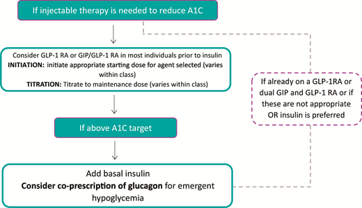 A portion of the ADA’s 2024 Standards of Care algorithm for intensification of type 2 diabetes management to injectable therapies, including basal insulin. When basal insulin is prescribed, HCPs are advised to consider co-prescription of glucagon for emergent hypoglycemia. Adapted with permission from ref. 49. GIP, gastric inhibitory peptide; GLP-1 RA, glucagon-like peptide 1 receptor agonist.