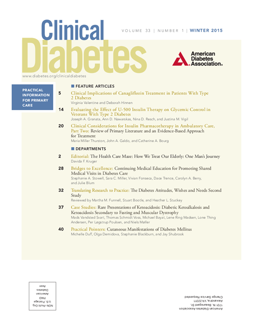 Clinical Diabetes Cover Image for Volume 33, Issue 1