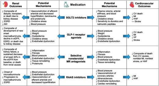 FIGURE 2. Medications with cardiorenal protective effects and their respective potential mechanisms and outcomes. CV, cardiovascular; MI, myocardial infarction.