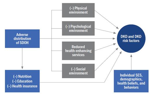 FIGURE 1. SDOH and DKD. (–) indicates negative or adverse impact. Adapted from Wen M, Browning CR, Cagney KA. Soc Sci Med 2003;57:843–860.