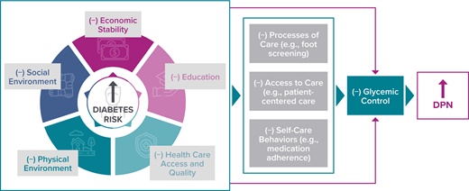 FIGURE 7. Framework for social determinants of health and their impact on diabetic peripheral neuropathy.