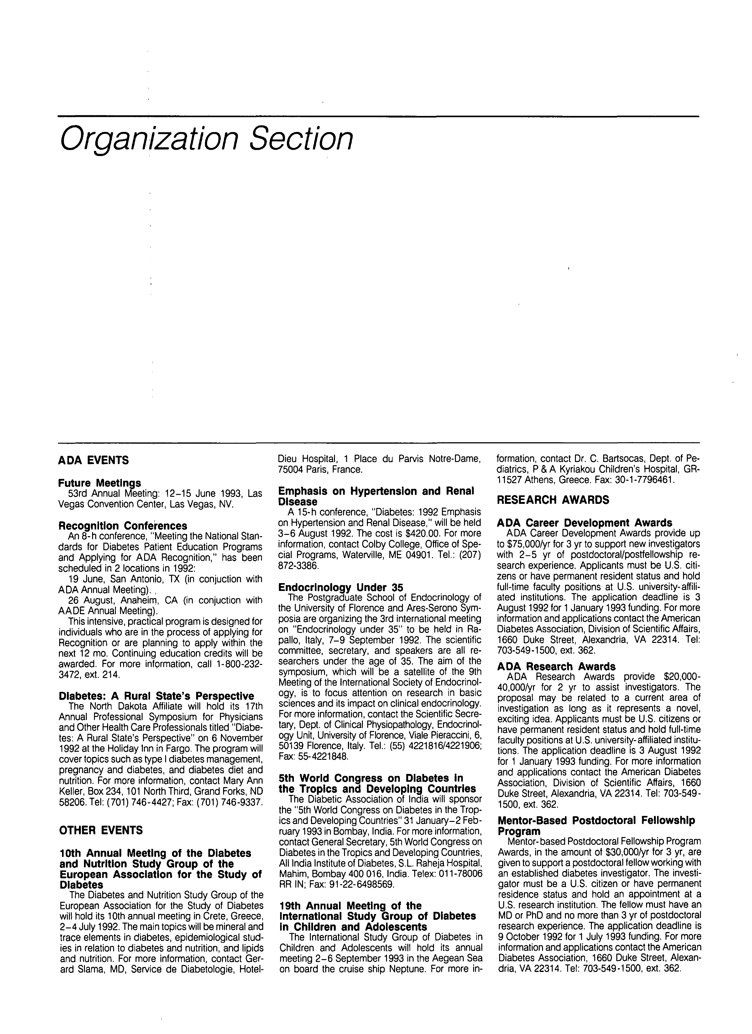 First page of Organization Section