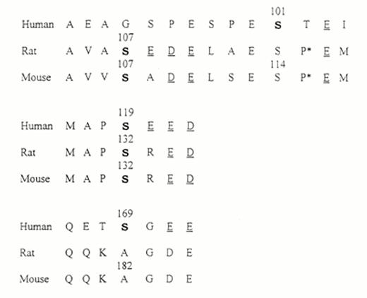 FIG. 6. A comparison of the sequences surrounding the phosphorylation sites of human, rat, and mouse IGFBP-1. The three phosphorylation sites of human IGFBP-1 (Ser 101, Ser 119, and Ser 169) and the two phosphorylation sites of rat and mouse IGFBP-1 (Ser 107 and Ser 132) are shown in bold. The adjacent acidic amino acid residues are underlined, and the prolines that may inhibit phosphorylation are indicated by an asterisk.