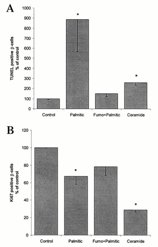 FIG. 4. Effects of blockade of ceramide synthesis by fumonisin B1 and of exogenous ceramide on β-cell DNA fragmentation and proliferative activity. Islets were cultured for 4 days in 11.1 mmol/l glucose alone (control) or in the presence of 0.5 mmol/l palmitic acids with or without 15 μmol/l fumonisin B1 (Fumo) or in the presence of 15 μmol/l C2-ceramide. Results are means ± SE of the relative number of TUNEL+ (A) and Ki-67+ β-cells (B) per islet normalized to the solvent-treated control (100%) (in absolute value: 0.61 TUNEL+ β-cells per islet and 7.32 Ki-67+ β-cells per islet at 11.1 mmol/l glucose alone). The mean number of islets scored for DNA fragmentation and for proliferative activity by anti-Ki-67 staining was 85 and 71, respectively. Islets were isolated from 16 rats. *P < 0.01 relative to solvent-treated controls.