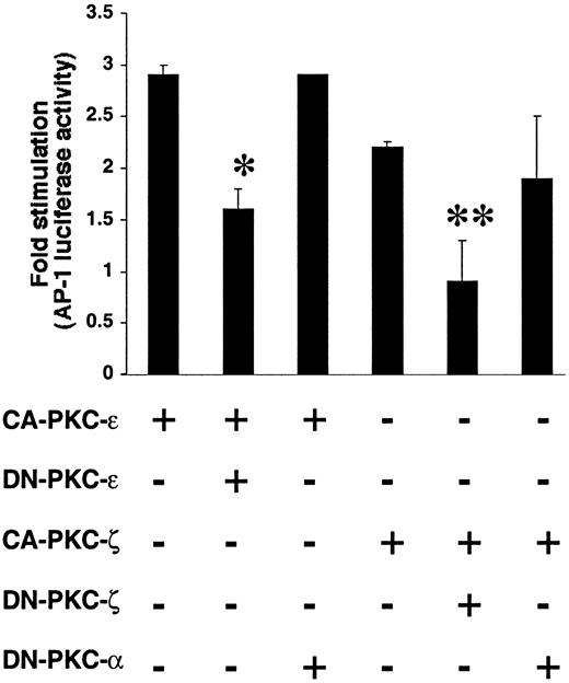 FIG. 3. Selective inhibition of CA-PKC stimulation of AP-1 by DN-PKCs. MCs were transfected with CA-PKC alone or cotransfected with DN-PKC, as described in research design and methods. Luciferase activity was measured in total cell lysate. *P < 0.05 vs. CA-ε; **P < 0.05 vs. CA-ζ.