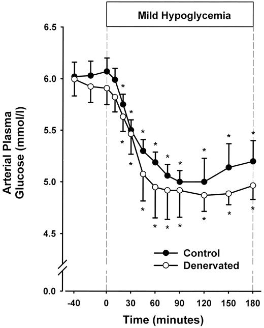 FIG. 1. Arterial plasma glucose levels in the control period (−40 to 0 min) and after administration of the glycogen phosphorylase inhibitor (0 to 180 min) in CON and PDN 18-h fasted conscious dogs. Data are expressed as mean ± SE. Statistical comparisons were made by two-way ANOVA with repeated-measures design, and post hoc analysis was performed with use of the univariate F test when appropriate. *P < 0.05 versus basal period; n = 7 for CON and PDN.