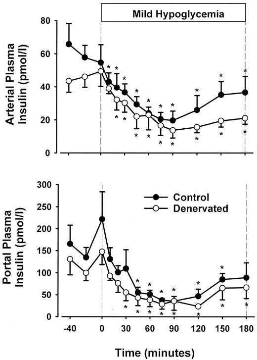 FIG. 2. Arterial and portal plasma insulin levels in the control period (−40 to 0 min) and after administration of the glycogen phosphorylase inhibitor (0 to 180 min) in CON and PDN 18-h fasted conscious dogs. Data are expressed as mean ± SE. Statistical comparisons were made by two-way ANOVA with repeated-measures design, and post hoc analysis was performed with use of the univariate F test when appropriate. *P < 0.05 versus basal period; n = 7 for CON and PDN.