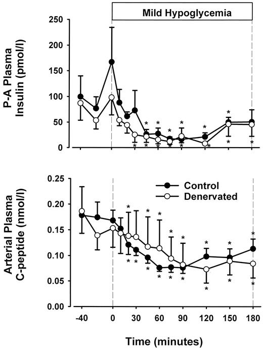 FIG. 3. The portal-arterial (P-A) insulin gradient and arterial plasma c-peptide levels in the control period (−40 to 0 min) and after administration of the glycogen phosphorylase inhibitor (0 to 180 min) in CON and PDN 18-h fasted conscious dogs. Data are expressed as mean ± SE. Statistical comparisons were made by two-way ANOVA with repeated-measures design, and post hoc analysis was performed with use of the univariate F test when appropriate. *P < 0.05 versus basal period; n = 7 for CON and PDN.
