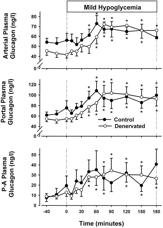 FIG. 4. Arterial and portal plasma glucagon levels and the portal-arterial (P-A) glucagon gradient in the control period (−40 to 0 min) and after administration of the glycogen phosphorylase inhibitor (0 to 180 min) in CON and PDN 18-h fasted conscious dogs. Data are expressed as mean ± SE. Statistical comparisons were made by two-way ANOVA with repeated-measures design, and post hoc analysis was performed with use of the univariate F test when appropriate. *P < 0.05 versus basal period; n = 7 for CON and PDN.