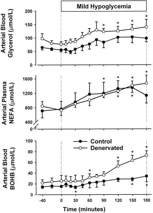 FIG. 6. Arterial blood glycerol, arterial plasma NEFA, and arterial blood BOHB in the control period (−40 to 0 min) and after administration of the glycogen phosphorylase inhibitor (0 to 180 min) in CON and PDN 18-h fasted conscious dogs. Data are expressed as mean ± SE. Statistical comparisons were made by two-way ANOVA with repeated-measures design, and post hoc analysis was performed with use of the univariate F test when appropriate. *P < 0.05 versus basal; n = 4 for NEFA and CON glycerol and BOHB, and n = 7 for PDN glycerol and BOHB.