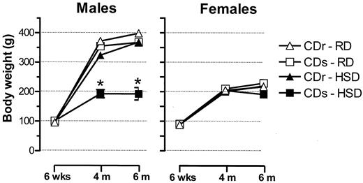 FIG. 1. Body weight of CDs and CDr rats that were fed RD or HSD at ages 6 weeks and 4 and 6 months. Data are presented as mean ± SE; *P < 0.01 compared with all other groups.