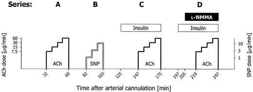 FIG. 1. Infusion protocol for the initial examination. The narrow black graphs represent ACh dose-response studies (doses at left ordinate), and the bold gray graph represents a SNP dose-response study (doses at right ordinate, which is logarithmic like the left ordinate). ACh and SNP were infused for 5 min, followed by measurement of blood flow for 2 min; thus, each dose was given for 7 min. Insulin and l-NMMA were infused in doses of 0.05 mU/kg/min and 3.3 mg/min, respectively. Wash-out periods between dose-response studies were at least 20 min (as shown), but were extended, if necessary, until blood flow had returned to basal levels. In all patients, infusion series A, B, and C were given. In the last 13 consecutively included patients, these three series were followed by series D. In 10 consecutively included healthy control subjects, series A, B, C, and D were given. In the remainder of healthy control subjects, only series A was given.