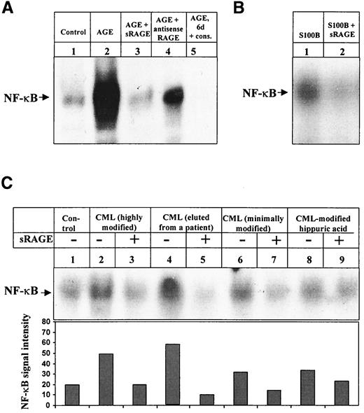 FIG. 4. AGE-mediated induction of NF-κB DNA binding activity in vitro is dependent on RAGE. A: BAECs were left untreated (lane 1) or were incubated for 6 days with AGE-albumin (500 nmol/l) (lane 2) or with AGE-albumin (500 nmol/l) in the presence of either a 10-fold molar excess of sRAGE (lane 3) or 0.1 μmol/l antisense RAGE oligonucleotides (lane 4) before NF-κB binding activity was monitored in EMSA. For confirming NF-κB binding, binding observed at day 6 was competed with a 160-fold molar excess of unlabeled NF-κB consensus oligonucleotides (lane 5). The result shown is representative of three independent experiments. B: BAECs were incubated for 5 days with S100B (400 nmol/l) in the absence (lane 1) or presence (lane 2) of a threefold molar excess of sRAGE, and NF-κB binding activity was monitored in EMSA as above. C: BAECs were left untreated (lane 1) or incubated for 5 days with 400 nmol/l highly modified CML-albumin (lane 2), CML-modified proteins isolated from erythrocytes of a patient with diabetes and poor glycemic control (HbA1c 14.3%; lane 4), minimally modified CML-albumin (lane 6), or CML-modified hippuric acid (lane 8) in the absence (lanes 1, 2, 4, 6, 8) or presence (lanes 3, 5, 7, 9) of a threefold molar excess of sRAGE. NF-κB binding activity was monitored in EMSA. The NF-κB signal intensity was quantified by densitometry and is given below in the autoradiogram.