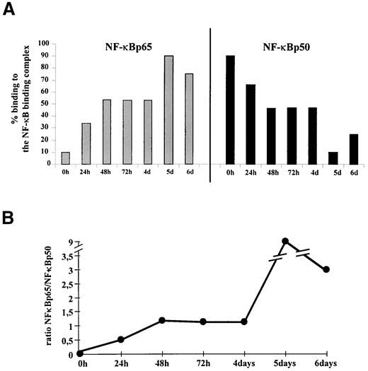 FIG. 7. Relative contribution of NF-κBp50 and NF-κBp65 to the binding complexes formed during AGE-albumin–mediated sustained NF-κB binding activity monitored by supershifting experiments. Characterization of the NF-κB subunits, contributing to the observed shift formed at the NF-κB consensus sequence, was performed by adding 2.5 μg of an irrelevant IgG or of anti–NF-κBp50 and anti–NF-κBp65 antibodies into the binding reactions with nuclear extracts of unstimulated BAECs or of BAECs stimulated with AGE-albumin for 24 h to 6 days. Signals obtained were quantified by densitometry. A: Signal intensity determined for the NF-κB binding complex in the presence of a nonspecific IgG was taken as 100% at each time point investigated and compared with signal intensity for NF-κB binding determined in the presence of anti-p50 or anti-p65 antibodies. Because of supershifted complexes and blockade of NF-κB binding, the NF-κB binding complex was significantly reduced in the presence of anti-p65 and anti-p50 antibodies. The extent of reduction served as a measure to calculate the relative contribution of NF-κBp65 and NF-κBp50 to each NF-κB binding complex. Two different experiments were evaluated with identical results, and the data of one representative experiment are shown. Similar data were obtained after stimulation with 1 μmol/l Aβ (data not shown). B: Ratio formed by the amount of NF-κBp65 divided by the amount of NF-κBp50 contributing to the NF-κB binding activity observed over time.