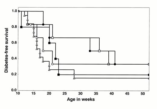 FIG. 1. Diabetes-free survival plot in NOD mice. Weekly intraperitoneal administration of 20 mg/kg MR1 was given for 6 weeks (long protocol) to 4-week-old (○) or 8-week-old (•) female NOD mice, and 10 mg/kg of MR1 was given every other day for 6 days (short protocol) to 8-week-old female NOD mice (□). Control groups received either Ha4/8 (▪) or no treatment(▵). Mice were checked twice weekly for glycosuria. Diabetes was defined as at least three consecutive blood glucose readings >250 mg/dl. No statistically significant differences were observed between any of the experimental groups (Mantel-Cox log-rank test).