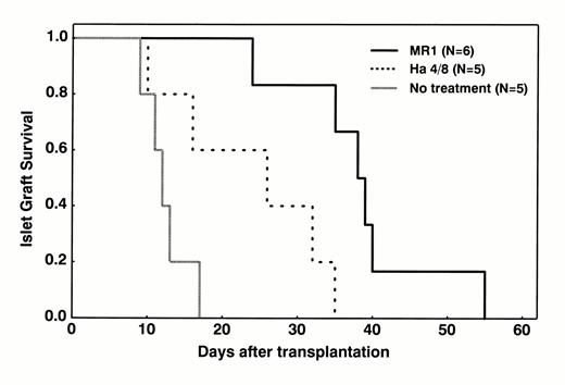 FIG. 3. Graft survival of syngeneic islets transplanted into spontaneously diabetic NOD mice. Male NOD islets (650 IEQ) were transplanted in the renal subcapsular space of overtly diabetic NOD mice. Recipients were untreated or were treated with either MR1 or Ha4/8 at 10 mg/kg (low induction dose) on days-1, 0, and 3 and at 20 mg/kg on day 7 and every 7 days thereafter, until recurrence of diabetes. Significant differences were observed between MR1- and Ha4/8-treated groups (P = 0.016) and between the MR1-treated and the untreated groups (P = 0.007).