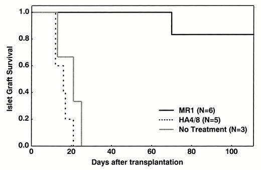 FIG. 4. Allograft survival in chemically induced diabetic male NOD mice. Male 5-to 7-week-old NOD mice were rendered diabetic via a single injection of streptozotocin (200 mg/kg) and transplanted with 650 IEQ under the kidney capsule. Recipients were treated with 20 mg/kg of MR1 or Ha4/8 on days -1, 0,3, and 7 posttransplant and once a week thereafter, until rejection or until day 98 posttransplantation. Graft survival in the MR1-treated group was significantly longer than in the Ha4/8-treated recipients (P =0.00067) or in the untreated controls (P = 0.00018).