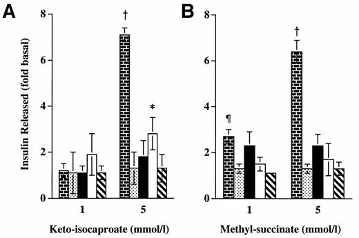 FIG. 2. Insulin release in response to mitochondrial substrates in P. obesus islets. Release rates are expressed as fold of basal insulin release (at 2.0 mmol/l glucose) during 1-h incubation. Glucose (2.0 mmol/l)was present during the incubation with KIC or monomethyl-succinate. The response of rat islets is given for comparison. Each point is the mean of 5-7 experiments ± SE. ▪, Rat; [cjs2099], DR-LE; ▪, DR-HE; □,DP-LE; [cjs2112], DP-HE. *P < 0.05; ¶P <0.003; †P < 0.002, all vs. basal insulin response.