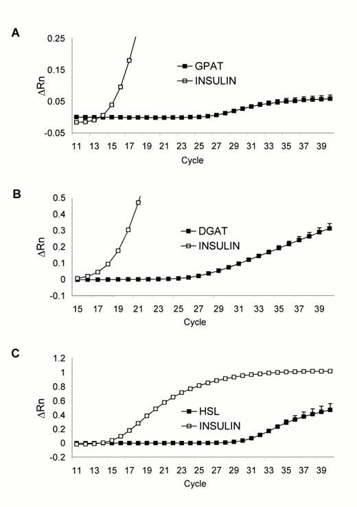 FIG. 1. Detection of GPAT (A), DGAT (B), and HSL (C)mRNAs by RT-PCR using Taqman technology in isolated rat islets. ΔRn designates changes in fluorescence emission. Representative amplification plots were from experiments performed in triplicate on two separate occasions.