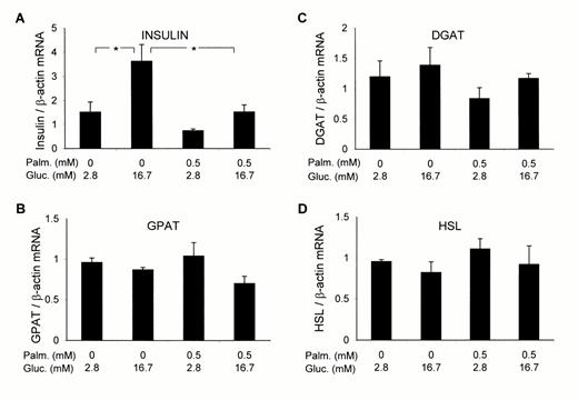FIG. 2. : Effects of prolonged exposure to glucose (Gluc.) and palmitate (Palm.)on insulin (A), GPAT (B), DGAT (C), and HSL(D) mRNA levels in isolated rat islets. Isolated islets were incubated in the absence or presence of 0.5 mmol/l palmitate and 2.8 or 16.7 mmol/l glucose for 72 h. Insulin (n = 8), GPAT (n = 3), DGAT(n = 7), and HSL (n = 3) mRNA levels were determined by fluorescence-based RT-PCR as described in RESEARCH DESIGN AND METHODS. Results(means ± SE) are expressed as the ratio between the signal corresponding to the gene of interest and the signal for β-actin mRNA. *P < 0.01.