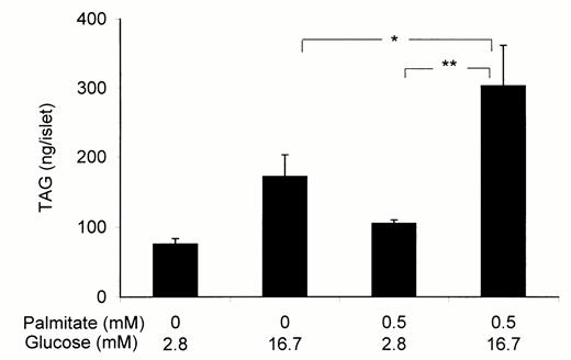 FIG. 4. Effects of palmitate and glucose on TAG content in isolated rat islets. Isolated rat islets were incubated in the absence or presence of 0.5 mmol/l palmitate and 2.8 or 16.7 mmol/l glucose for 72 h. TAG content was measured as described in RESEARCH DESIGN AND METHODS. Results are means ± SE of three to six separate experiments. *P < 0.05; **P < 0.01.