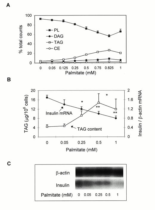 FIG. 5. Dose-dependent effects of palmitate on lipid partitioning, TAG content,and insulin mRNA levels in HIT-T15 cells. HIT-T15 cells were incubated for 72 h in RPMI 1640 containing 11.1 mmol/l glucose with increasing concentrations of palmitate. A: The culture medium contained 5 μmol/l[U-14C]palmitate. Lipids were extracted and analyzed by TLC. For each lane, the lipid bands were scraped and counted. Results are means± SE of three separate experiments and are expressed as percent of total counts recovered from each lane. All points at and above 0.25 mmol/l are significantly different from the control (0 palmitate) for PL, TAG, and DAG. CE, cholesterol ester. B: Inverse correlation between TAG content and insulin mRNA levels. Results are expressed as means ± SE of five or six separate experiments. C: Representative Northern blot of insulin mRNA.
