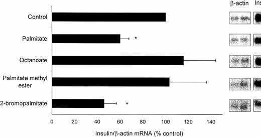 FIG. 6. Effects of fatty acids on insulin mRNA level in HIT-T15 cells. HIT-T15 cells were cultured for 24 h in the presence of 0.5 mmol/l palmitate, 2.5 mmol/l octanoate, 0.5 mmol/l palmitate methyl ester, or 0.5 mmol/l 2-bromopalmitate. The control condition contained an equivalent amount of BSA. Insulin mRNA was measured by Northern analysis and was normalized toβ-actin mRNA. Results are means ± SE of three separate experiments and are expressed as percent control. A representative Northern blot is shown on the right.