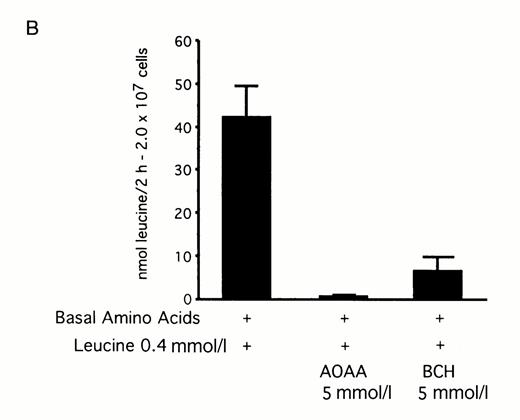 FIG. 8B:. Inhibition of L-[U-14C]leucine decarboxylation by AOAA and BCH. Cells (2.0 × 107) were preincubated in KRBB in the absence of glucose and amino acids for 2 h. Media were then replaced with KRBB containing basal amino acids supplemented with 0.4 mmol/l leucine + 1 μCi L-[U-14C]leucine. AOAA or BCH was added as indicated for 2 h. The amount of 14CO2 produced was trapped and quantitated by scintillation counting. Results are means ± SE of three separate experiments.