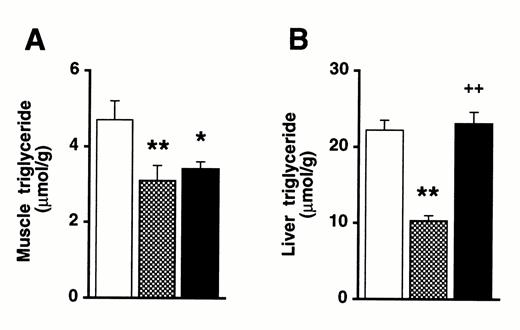 FIG. 1. Effects of WY14643 and pioglitazone on muscle (A) and liver(B) triglyceride content in the basal state. Red quadriceps muscle and the liver were taken for the measurements in the basal state after 3 weeks of the high-fat feeding with 2 weeks of drug treatment (n =6-9/group). The tissues were freeze-clamped using tongs precooled with liquid N2 immediately after the rats were killed with an overdose of pentobarbital. □, High fat—fed controls; [cjs2099], WY14643-treated rats; ▪, pioglitazone-treated rats. *P < 0.05, **P < 0.01 vs. the high fat—fed controls;++P < 0.01 vs. WY14643-treated group.