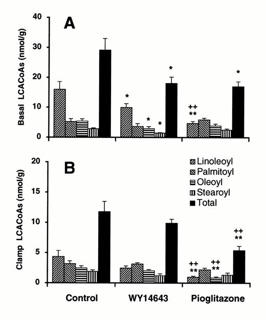 FIG. 2. Muscle LCACoA content in the basal (A) and clamp (B)states. Red quadriceps muscle was taken for the measurements after 3 weeks of the high-fat feeding with 2 weeks of drug treatment (n = 6-9/group). For the basal values, muscle was taken after 7-9 h of fasting, and for the clamp values the tissue was taken at the end of clamp. The muscle was freeze clamped using tongs precooled with liquid N2 immediately after the rats were killed with an overdose of pentobarbital. Only major species of LCACoAs are presented: linoleoyl (18:2) (upward bars); palmitoyl (16:0)(downward bars); oleoyl (18:1) (horizontal bars); and stearoyl (18:0)(vertical bars). The sums of the major species are referred to as total LCACoAs (filled bars). *P < 0.05, **P < 0.01 vs. the high fat—fed controls;++P < 0.01 vs. WY14643-treated group.
