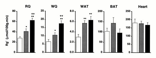 FIG. 3. Glucose metabolic index (Rg') in individual tissues in the clamp state. The hyperinsulinemic-euglycemic clamp was performed at an insulin infusion rate of 0.25 U · kg-1 · h-1 for 120 min(n = 7-8/group) and the tissues were freeze-clamped at the end of experiment. □, High fat—fed controls; [cjs2099], WY14643-treated rats;▪, pioglitazone-treated rats. BAT, intrascapular brown adipose tissue;RQ, red quadriceps muscle; WAT, white adipose tissue from the retroperitoneal fat pad; WQ, white quadriceps muscle. *P < 0.05, **P < 0.01 vs. the high fat—fed controls,++P < 0.01 vs. WY14643-treated group.
