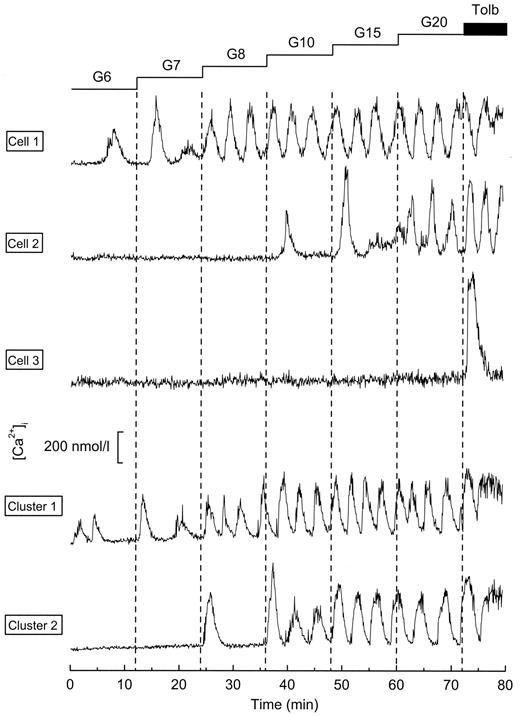 FIG. 1. Examples of [Ca2+]i responses to increasing glucose (G) concentrations in islet single cells or clusters. The recording of [Ca2+]i was started (time 0) after 10 min of perifusion with a medium containing 4 mmol/l glucose, simultaneously with the rise of the glucose concentration to 6 mmol/l. Each concentration of glucose was applied for 12 min. The experiment was terminated by addition of 100 μmol/l tolbutamide (Tolb) to the medium containing 20 mmol/l glucose. Cells 1 and 2 and clusters 1 and 2 showed different sensitivities to glucose. Cell 3 responded to tolbutamide but not to glucose. All preparations were cultured for 1 day. The quantification of these different responses is presented in Figs. 2 and 3.