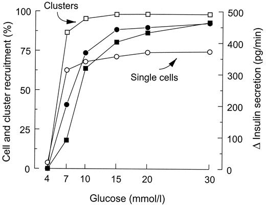 FIG. 8. Influence of the glucose concentration on the appearance of a [Ca2+]i response (recruitment) in islet single cells (○) and clusters (□) and on insulin secretion for the 14 min (•) or only the last 8 min of stimulation (▪). All data were obtained from the same preparations as those shown in Fig. 6. Note that the vast majority of β-cells (at least 85%) are situated within clusters, which, therefore, are the major contributors to insulin secretion.