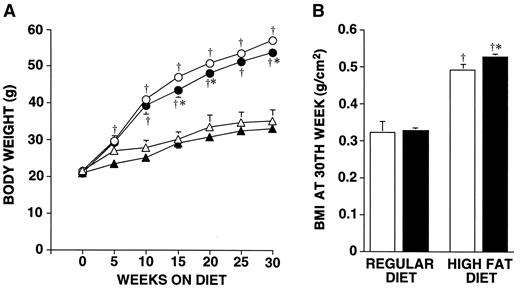 FIG. 1. Body weight (A) during 30 weeks of feeding and body mass index (B) at the 30th week in transgenic and nontransgenic mice fed with regular diet or HF diet. Each value is the mean ± SE for five animals. •, HF, nontransgenic; ○, HF, transgenic; ▴, regular transgenic; ▵, regular, transgenic; ▪, transgenic; and □, nontransgenic. †Significantly different from the corresponding value in same genotype animals fed with regular diet (P < 0.05); and *significantly different from the corresponding value in nontransgenic mice fed with same type of diet (P < 0.05).  