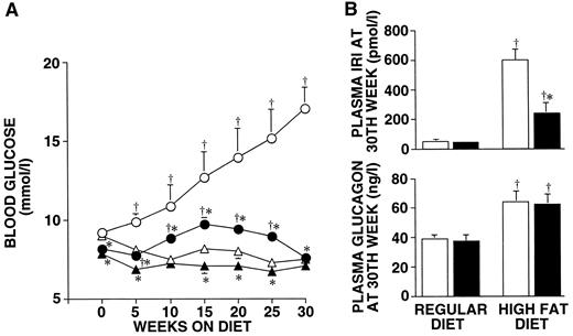 FIG. 2. Blood glucose level (A) during the 30-week feeding period and plasma insulin immunoreactivity (IRI) and glucagon levels (B) at the 30th week in transgenic and nontransgenic mice fed with regular diet or HF diet. Each value is mean ± SE for five animals. •, HF, nontransgenic; ○, HF, transgenic; ▴, regular transgenic; ▵, regular, transgenic; ▪, transgenic; and □, nontransgenic. *Significantly different from the corresponding value in nontransgenic mice fed with same type of diet (P < 0.05); and †significantly different from the corresponding value in same genotype animals fed with regular diet (P < 0.05).