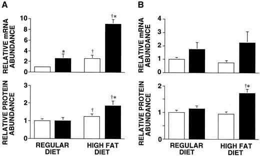 FIG. 3. GK and regulatory protein gene expression in the liver of transgenic and nontransgenic mice fed with regular diet or HF diet for 30 weeks. A: Relative amount of GK mRNA and protein. B: Relative amount of the regulatory protein mRNA and protein. The values (n = 5) were normalized to the mean value in nontransgenic mice fed with a regular diet as 1.0. Each value is mean ± SE for five animals. ▪, Transgenic; □, nontransgenic. *Significantly different from the corresponding value in nontransgenic mice fed with same type of diet (P < 0.05); and †significantly different from the corresponding value in same genotype animals fed with regular diet (P < 0.05).