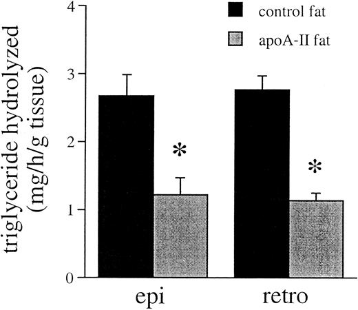 FIG. 5. Adipose tissue from apoA-II transgenic mice exhibits significantly less triglyceride hydrolysis than adipose tissue from control mice. Adipose tissue from epididymal (epi) and retroperitoneal (retro) fat pads was obtained from apoA-II transgenic (apoA-II) and control (control) mice that had been fasted overnight. Aliquots of the adipose tissue were incubated for 1 h at 37°C, and the glycerol released from hydrolysis of triglycerides was determined. Data are the mean ± SE of triglycerides hydrolyzed expressed in milligrams per hour per gram of tissue. n = 10 for both control and apoA-II transgenic groups. The Student’s t test was used to test for differences between control and apoA-II transgenic mice. *Significantly different from control (P < 0.05).