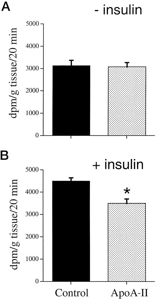 FIG. 6. Skeletal muscle from apoA-II transgenic mice exhibits significantly less uptake of 2-deoxy-[U-14C]glucose. The soleus muscles were isolated from apoA-II transgenic and control mice that had been fasted overnight, as described in research design and methods. Uptake of 2-deoxy-[U-14C]glucose (2.5 μCi/ml) was determined by incubating the muscles for 20 min in Krebs-Henseleit buffer that contained 5.5 mmol/l glucose and 1% BSA, with or without exogenous insulin added. A: Upon removal, the muscles were immediately incubated as described above without the addition of exogenous insulin. B: Upon removal, the muscles underwent a 20-min preincubation in Krebs-Henseleit buffer (without 2-deoxy-[U-14C]glucose) that contained porcine insulin (2 mU/ml). At the end of the preincubation period, the tissue was transferred to new vials and incubated in Krebs-Henseleit buffer that contained insulin (2 mU/ml) as well as 2-deoxy-[U-14C]glucose (2.5 μCi/ml). Data are the mean ± SE of radioactivity incorporated, expressed as dpm per gram of tissue per 20 min. n = 7 for both control and apoA-II transgenic groups in each set of experiments. The Student’s t test was used to test for differences between control and apoA-II transgenic mice. *Significantly different from control (P < 0.05).