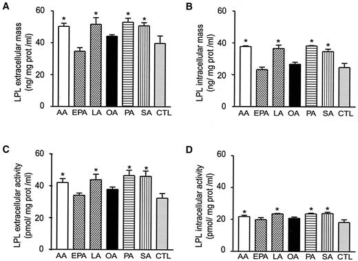 FIG. 2. Effect of FAs on murine Mo LPL immunoreactive mass and activity. J774 cells were cultured for 24 h in presence of 0.2 mmol/l AA, EPA, LA, OA, PA, and SA. At the end of the incubation period, extracellular LPL immunoreactive mass (A), intracellular LPL immunoreactive mass (B), extracellular LPL activity (C), intracellular LPL activity (D) were measured in the culture medium and in the cell lysates. All values represent LPL mass and activity normalized to the levels of total cell proteins. Data are means ± SE of five experiments. *P < 0.05 vs. controls.