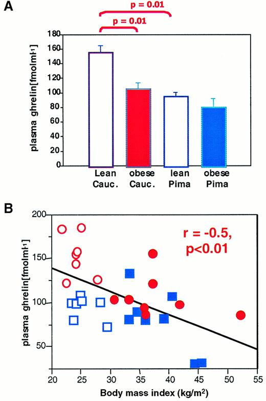 FIG. 1. A: Plasma ghrelin levels in seven lean and eight obese Caucasian (Cauc.) individuals and in seven lean and eight obese Pima Indian individuals matched for age, sex, and body weight. All levels are given as the mean ± SE. □, Lean individuals; ▪, obese individuals. B: Plasma ghrelin levels in the same 30 individuals are negatively correlated with BMI. ○, Lean Caucasians; •, obese Caucasians; □, lean Pima Indians; ▪, obese Pima Indians.